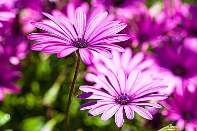 Gamera Games迎来五周年 大量新游情报公布，Steam特卖现已开启