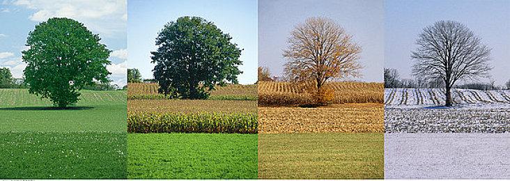 《生化危机2：重制版》VR十二分钟演示 很有代入感